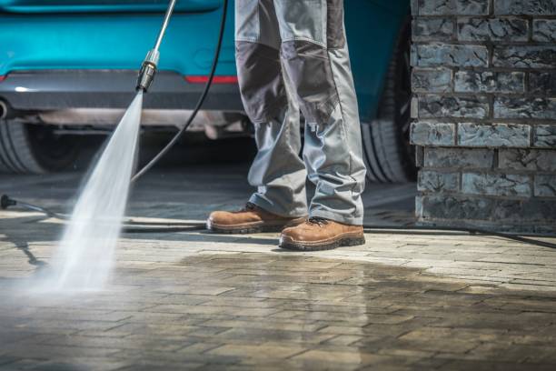 Best Vinyl Siding Pressure Washing in Grandyle Village, NY