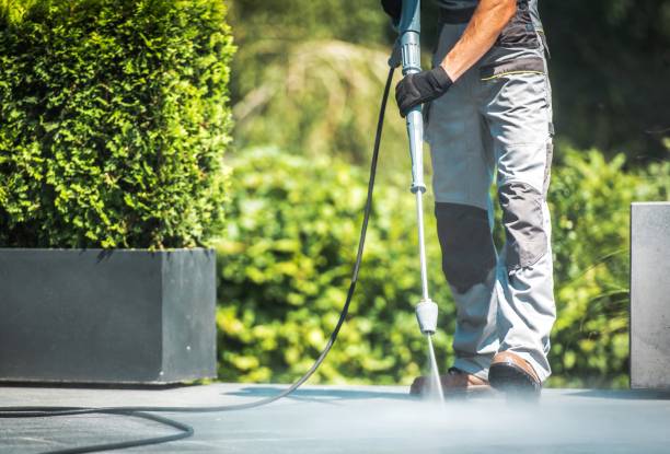 Best Soft Washing for Delicate Surfaces in Grandyle Village, NY